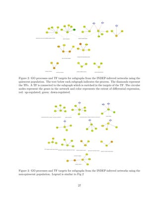 HAP1_TF
                                                                                                                                                                                                 HAP4_TF

                                                                                                                THO1
                                                                                                                                                                                                                                                                      YAP7_TF
                                                                                                  QCR9
                                                                                                                       UBC8                                        ATP3
                                                        KGD1                 YET3
                                                 NDE2
                                                                                       QCR7                                    YGL088W

                                                                                                                                                                                     COX8                       COX7                                 TDH1                       HEM3
                                                                                                                                                                                                                                        AVT7
                                                                                                            QCR8                                               INH1
                                          AAT2                         SDH2

                                                                                                                                                                                                                         COX13

                                                                                                                                                                                                                                                                      RTN2
                                                                                                                                                                                                                 QCR6

             tricarboxylic acid cycle intermediate metabolic process                                                                              oxidative phosphorylation
                                                                                              aerobic respiration




                                                                                                                                                      PEX11
                                                                                                                                                                        YIL039W
                                                                                             YIL161W
                                                                             YIR016W                                           JEN1

                                                                                                                                              MSS18
                                                                                                                                                                 ETR1               AYR1

                                                                                             POT1                  FOX2




                                                                                                                                               carboxylic acid biosynthetic process
                                                                                            fatty acid beta-oxidation




                                                        ADY2             ADH2                                                                   YAT2
                                                                                                                                                                                                      PUF4              UBP10
                                                                                                                                                                         URA2


                                                                                                                                                          YAT1
                                                                                                                                                                                                                 DOA4
                                                                ATO3



                                       nitrogen utilization                                                                                   carnitine metabolic process
                                                                        ammonium transport                                                                                                              protein deubiquitination




Figure 2: GO processes and TF targets for subgraphs from the INDEP-inferred networks using the
quiescent population. The text below each subgraph indicates the process. The diamonds represent
the TFs. A TF is connected to the subgraph which is enriched in the targets of the TF. The circular
nodes represent the genes in the network and color represents the extent of diﬀerential expression,
red: up-regulated, green: down-regulated.


                                                                                                                                                  HAP4_TF
                                                                                                                                                                                                                                          MSN4_TF
                                                                                                                                                                                                                           MSN2_TF
                                                                                    GSP1
                                                                                                                                       MTH1
                                                                     SDS23
                                                                                                  SDH3                                                                SML1

                                                                                                                                                   QCR8                                                                                    HSP104
                                                                                                                           COX13
                                                                                    SDH2                                                                              QCR9
                                                                 ATP16                              SED1
                                                                                                                                                                                                                                                               SIS1
                                                                                                                                                                                                                          SSA2
                                                                                                                                                  COX4


                                                                                                                                                                                                                                       protein folding
                            mitochondrial electron transport, succinate to ubiquinone                 aerobic respiration                              mitochondrial electron transport, ubiquinol to cytochrome c



                                                                                                                                                                                     HSF1_TF                                                    AFT2_TF
                                                                                                  SIP4_TF


                                                                                                                                                                                                                                           OM14
                                                                                                                                                                                           HSP26
                                                                                                                       IDP2                                                                                              YGL010W
                                                                                                  PCK1                                                                                                                                                                 LEU4
                                                                         CLB5
                                                                                                                                                                                                        HSP12
                                                                                                                                                                             SSE2                                                      PRB1
                                                                                                         ICL1
                                                                                                                                                                                               TDH1




                                                              NDE2
                                                                                                  RIP1
                                                                                                                          KGD2
                                                                                                                                                          ALD3                  ALD2                                    CTT1                         CTA1
                                                          OM45
                                                 STF2                  ATP1

                                                                                           REG1
                                                                                                            ATP2                                                      YGR201C
                                                                                                                                                                                                                                       PRE8
                                                                                                                              CCW12



                                      ATP synthesis coupled proton transport
                                                                                generation of precursor metabolites and energy             polyamine catabolic process
                                                                                                                                                                                    beta-alanine biosynthetic process
                                                                                                                                                                                                                         response to reactive oxygen species



                                                                                                                                                                          RPL25

                                                                                                                                      ammonium transport



                                                                                                                                                                                    RPS26B
                                                                                                                                                              ADY2
                                                                                                                                   ATO3
                                                                                                            ALD4



                                                                                                                                        nitrogen utilization                 GDH2




Figure 3: GO processes and TF targets for subgraphs from the INDEP-inferred networks using the
non-quiescent population. Legend is similar to Fig 2



                                                                                                                                                  27
 