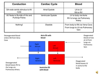 Conduction                       Cardiac Cycle                            Blood

  SA node sends stimulus to AV               Atrial Systole                       LA to LV
             node                                                                 RA to RV
  AV Node to Bundle of His and            Ventricular Systole               LV to body via Aorta
        Purkinje Fibres                                                   RV to lungs via Pulmonary
                                                                                    Artery

             Nothing!                           Diastole                From body to RA via Vena Cava
                                                                        From lungs to LA via Pulmonary
                                                                                     Vein

Deoxygenated blood                        Atria fill with                                    Oxygenated
enters RA from Vena                       blood                                              blood arrives
Cava                                                                                         at LA from
                                                                                             lungs via
                                 Right                                                       Pulmonary
                                 Atrium                     Left
                                                                                             Vein
                                                            Atrium




                                 Right                      Left
                                 Ventricle                  Ventricle               Oxygenated
 Deoxygenated                                                                       blood leaves LV
 blood leaves RV to                                                                 in aorta to the
 the lungs via                        Ventricles fill                               body
 Pulmonary Artery                     with blood
 