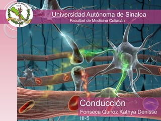 Universidad Autónoma de Sinaloa
Facultad de Medicina Culiacán

Conducción
Fonseca Quiroz Kathya Denisse
III-5

 