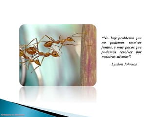 “No hay problema que 
no podamos resolver 
juntos, y muy pocos que 
podamos resolver por 
nosotros mismos”. 
Lyndon Johnson 
