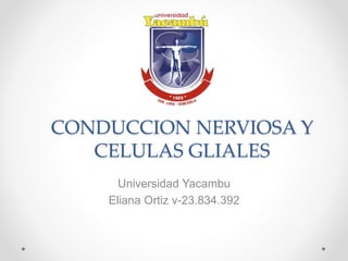 CONDUCCION NERVIOSA Y
CELULAS GLIALES
Universidad Yacambu
Eliana Ortiz v-23.834.392
 