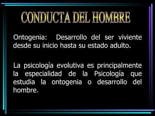 [object Object],[object Object],CONDUCTA DEL HOMBRE 