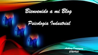Bienvenido a mi Blog
Psicologia Industrial
Anthony Dominguez
27209150
 