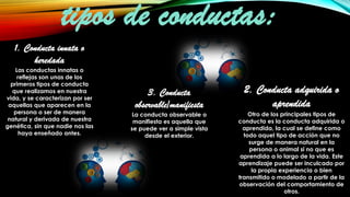 Conducta | PDF