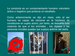 La conducta es un comportamiento humano voluntario
activo o negativo que produce un resultado.
Como anteriormente se dijo en clase, sólo el ser
humano es capaz de ubicarse en la hipótesis de
constituirse en sujeto activo; por tanto, se descarta toda
creencia de que si los animales , los objetos o las
personas morales pueden ser sujetos activos del delito.
 