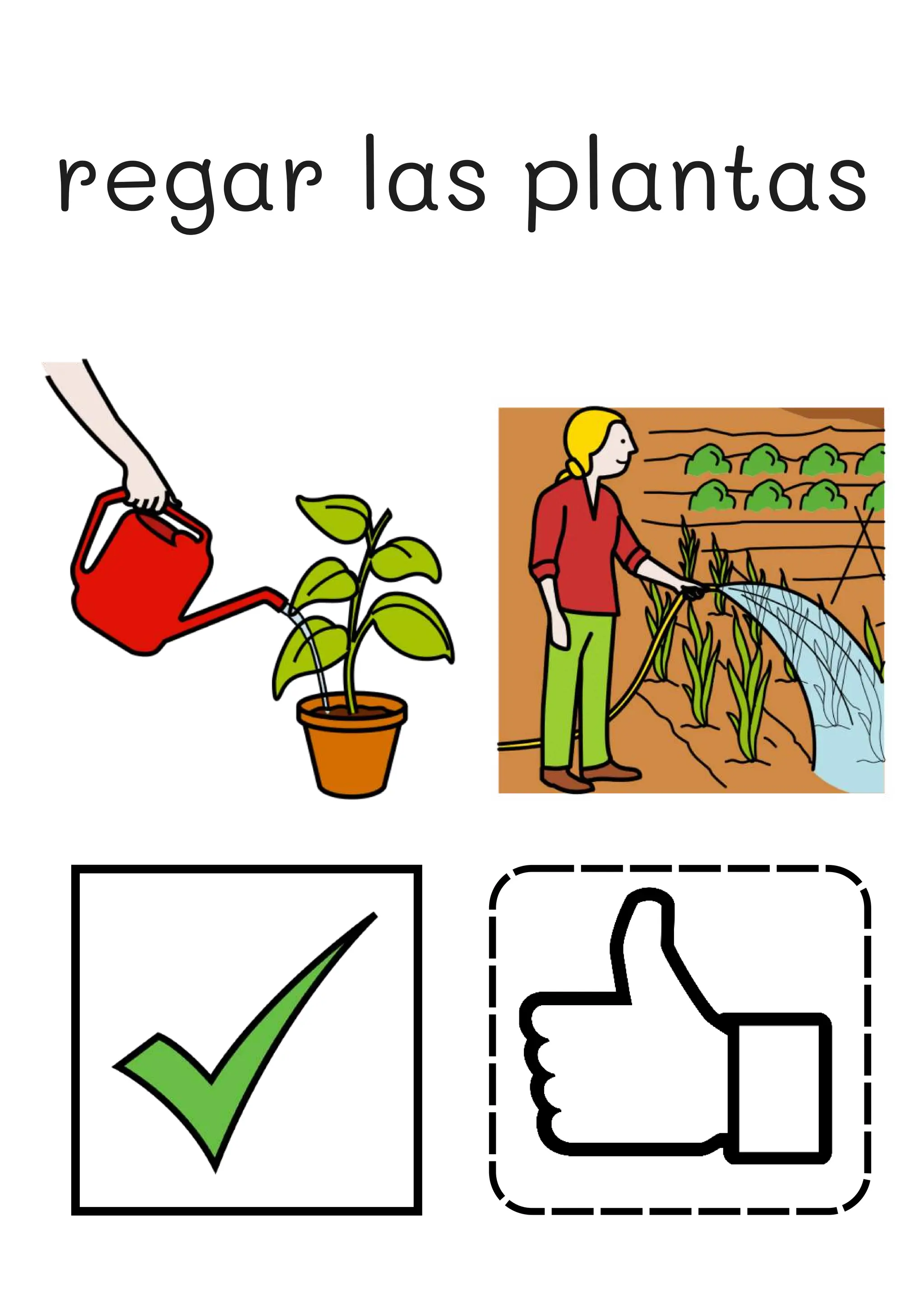 regar las plantas
 