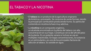 ELTABACOY LA NICOTINA
 El tabaco es un producto de la agricultura originario
de América y procesado. Se consume de varias formas, siendo
la principal por combustión produciendo humo. Su particular
contenido en nicotina la hace muy adictiva.
 La nicotina es un compuesto orgánico,
un alcaloide encontrado en la planta del tabaco con alta
concentración en sus hojas. Constituye cerca del 5% del peso
de la planta. Es un potente veneno e incluso se usa en
múltiples insecticidas. En bajas concentraciones, la sustancia
es un estimulante y es uno de los principales factores de
adicción al tabaco. Es soluble en agua.
 
