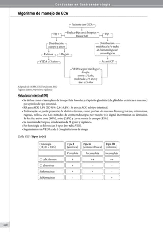 C o n d u c t a s e n G a s t r o e n t e r o l o g í a
108
Algoritmo de manejo de GCA
Adaptado de: MAPS. ESGE endoscopy 2012
*algunos autores proponen no vigilancia
Metaplasia intestinal (MI)
• Se define como el reemplazo de la superficie foveolar y el epitelio glandular (de glándulas oxínticas o mucosas)
por epitelio de tipo intestinal.
• RR para ACG 6.5% (IC 95%: 2,6-16,1%). Se asocia ACG subtipo intestinal.
• Endoscopia: se puede presentar de distintas formas, como parches de mucosas blanco grisáceas, eritematosa,
rugosas, vellosa, etc. Los métodos de cromoendoscopia por tinción y/o digital incrementan su detección.
Se localiza en incisura (40%), antro (35%) y curva menor de cuerpo (33%).
• Se recomienda: biopsia, erradicación de H. pylori y vigilancia.
• Por histología se diferencian 3 tipos (ver tabla VIII).
• Seguimiento con VEDA cada 1-3 según factores de riesgo.
Tabla VIII	- Tipos de MI
 