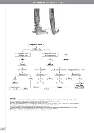 Conductas en gastroenterologia
