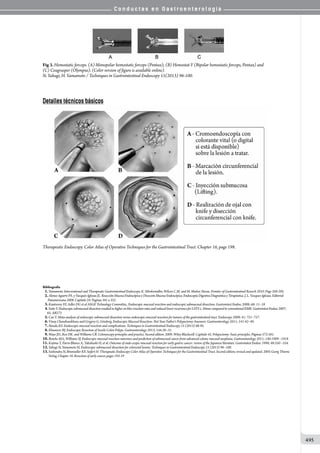 Conductas en gastroenterologia