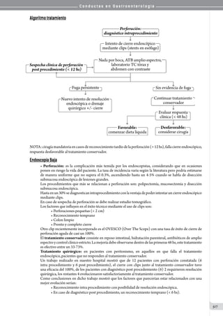 Conductas en gastroenterologia