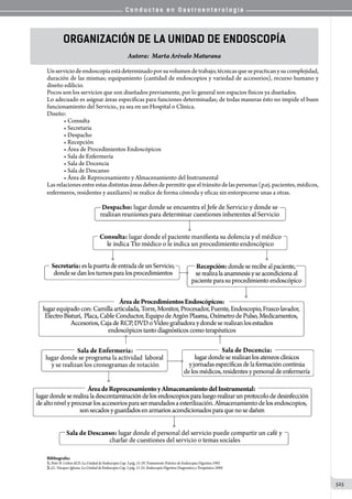 Conductas en gastroenterologia