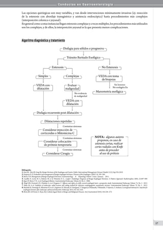 C o n d u c t a s e n G a s t r o e n t e r o l o g í a
57
Las opciones quirúrgicas son muy variables, y van desde intervenciones mínimamente invasivas (ej: resección
de la estenosis con abordaje transgástrico y asistencia endoscópica) hasta procedimientos más complejos
(interposición colonica o yeyunal).
Engeneralcomoaestasinstanciaslleganestenosiscomplejasyavecesmúltiples,losprocedimientosmásutilizados
son los complejos, y de ellos, la interposición yeyunal es la que presenta menos complicaciones.
Algoritmo diagnóstico y tratamiento
Bibliografía:
1.Kim JH, Shin JH, Song Hy. Benign Strictures of the Esophagus and Gastric Outlet: Interventional Management. Korean J Radiol 11(5), Sep/Oct 2010.
2.Ferguson D. D. Evaluation and management of benign esophageal strictures. Diseases of the Esophagus (2005) 18, 359–364.
3.Baron T.H. Management of Benign Esophageal Strictures. Gastroenterology  &  Hepatology Volume 7, Issue 1 January  2011.
4. Luedtke P., Levine M. S., Rubesin SE, et al. Weinstein D. S. , Laufer I. Radiologic Diagnosis of Benign Esophageal Strictures: A Pattern Approach. RadioGraphics 2003; 23:897 909.
5.Egan JV, Baron T H , et al. Esophageal dilation. Gastrointestinal Endoscopy. Volume 63, No. 6 : 2006.
6. Wagh MS, Forsmark CE, Chauhan S, et al. Draganov V. Efﬁcacy and safety of a fully covered esophageal stent: a prospective study. Gastrointestinal Endoscopy Volume 75, No. 3 : 2012.
7. Muto M, et al. Usefulness of endoscopic radial incision and cutting method for refractory esophagogastric anastomotic stricture. Gastrointestinal Endoscopy Volume 75, No. 5 : 2012.
8.MachidaH,TominagaK,MinaminoH,etal.S.Sugimori,H.Okazaki,H.Yamagami,T.Tanigawa,K.Watanabe,T.Watanabe,Y.Fujiwara,T.Arakawa.LocoregionalmitomycinCinjectionfor
esophageal stricture after endoscopic submucosal dissection. Endoscopy 2012; 44: 622–625.
9.Broto JM. Gil-Vernet, G. Royo, M.J. Cabaña hageal Stents in Benign and Malignant Diseases. Am J Gastroenterol 2010; 105:258–273.
 