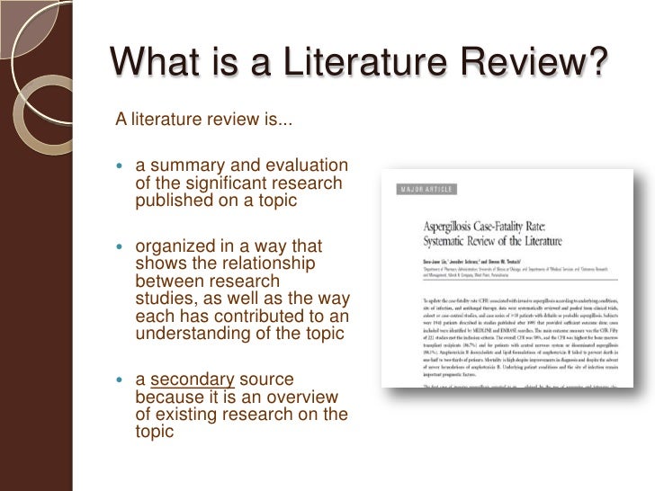 difference of a literature review and a research paper