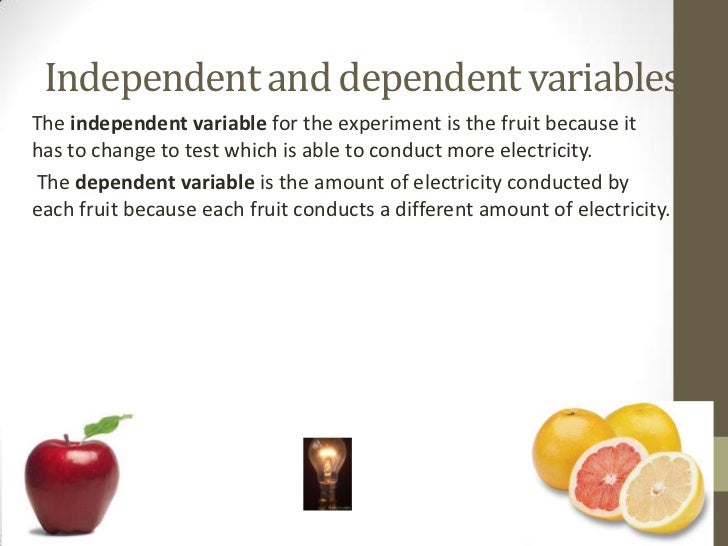 Shnutez's Fruit and Electricity Experiment