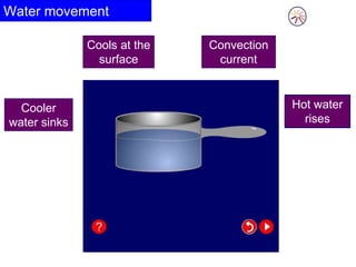 Water movement
Hot water
rises
Cooler
water sinks
Convection
current
Cools at the
surface
 