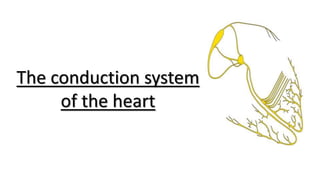 The conduction system
of the heart
 