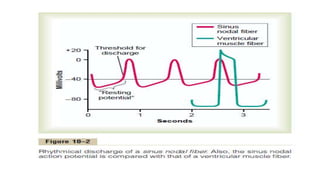Conduction system of the heart | PPTX