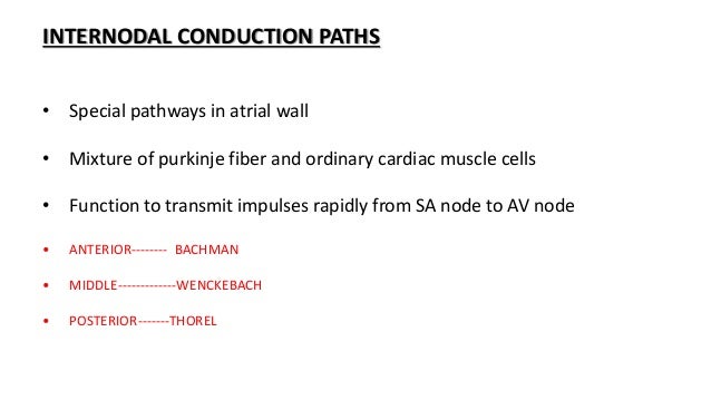 Conduction System Of The Heart Conduction System Of The Heart