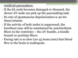 • Artificial pacemakers:
• If the SA node becomes damaged or diseased, the
slower AV node can pick up the pacemaking task.
• Its rate of spontaneous depolarization is 40-60
times/minute.
• If the activity of both nodes is suppressed, the
heartbeat may still be maintained by autorhythmic
fibers in the ventricles – the AV bundle, a bundle
branch or purkinje fibers.
• Pacing rate is so slow (20-35 beats/min) that blood
flow to the brain is inadequate.
 