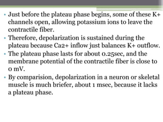 • Just before the plateau phase begins, some of these K+
channels open, allowing potassium ions to leave the
contractile fiber.
• Therefore, depolarization is sustained during the
plateau because Ca2+ inflow just balances K+ outflow.
• The plateau phase lasts for about 0.25sec, and the
membrane potential of the contractile fiber is close to
0 mV.
• By comparision, depolarization in a neuron or skeletal
muscle is much briefer, about 1 msec, because it lacks
a plateau phase.
 