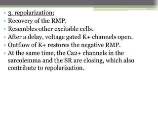 • 3. repolarization:
• Recovery of the RMP.
• Resembles other excitable cells.
• After a delay, voltage gated K+ channels open.
• Outflow of K+ restores the negative RMP.
• At the same time, the Ca2+ channels in the
sarcolemma and the SR are closing, which also
contribute to repolarization.
 