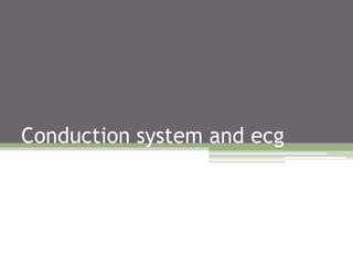 Conduction system and ecg
 