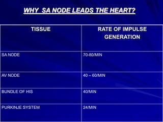 WHY SA NODE LEADS THE HEART?
TISSUE

RATE OF IMPULSE
GENERATION

SA NODE

70-80/MIN

AV NODE

40 – 60/MIN

BUNDLE OF HIS

40/MIN

PURKINJE SYSTEM

24/MIN

 