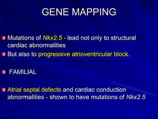 GENE MAPPING
.

Mutations of Nkx2.5 - lead not only to structural
cardiac abnormalities
But also to progressive atrioventricular block.

FAMILIAL
Atrial septal defects and cardiac conduction
abnormalities - shown to have mutations of Nkx2.5

 