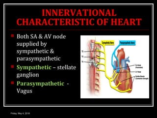 INNERVATIONAL
CHARACTERISTIC OF HEART
 Both SA & AV node
supplied by
sympathetic &
parasympathetic
 Sympathetic – stellate
ganglion
 Parasympathetic -
Vagus
Friday, May 4, 2018
 