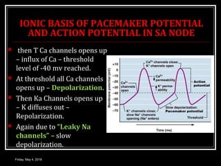 IONIC BASIS OF PACEMAKER POTENTIAL
AND ACTION POTENTIAL IN SA NODE
 then T Ca channels opens up
– influx of Ca – threshold
level of -40 mv reached.
 At threshold all Ca channels
opens up – Depolarization.
 Then Ka Channels opens up
– K diffuses out –
Repolarization.
 Again due to “Leaky Na
channels” – slow
depolarization.
Friday, May 4, 2018
 