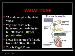 VAGAL TONE
 SA node supplied by right
Vagus.
 Vagus releases Ach –
Increases permeability for
K – efflux of K – Hyper
polarization
 Slows firing rate of SA node
from 90-120 to 60—90
 This is Vagal Tone.
Friday, May 4, 2018
 