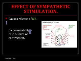 EFFECT OF SYMPATHETIC
STIMULATION.
 Causes release of NE –
Ca permeability -
rate & force of
contraction.
Friday, May 4, 2018
 