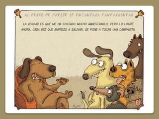 Conductismo  paradigma cognitivos