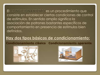 El CONDICIONAMIENTO es un procedimiento que
consiste en establecer ciertas condiciones de control
de estímulos. En sentido amplio significa la
asociación de patrones bastantes específicos de
comportamiento en presencia de estímulos bien
definidos.

Hay dos tipos básicos de condicionamiento:
Condicionamiento clásico   Condicionamiento operante
 