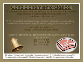 Condicionamiento clásico:
  También llamado condicionamiento pavloviano y condicionamiento
            respondiente, o modelo Estimulo-Respuesta (E-R)
                        - reflejo condicionado.-

Pavlov descubrió que los animales pueden aprender a responder a
 determinados estímulos, a partir de sus reflejos incondicionados.
                            Incondicionado (innato)
                       Reflejo Condicionado (aprendido)

    Diseñó el esquema del condicionamiento clásico a partir de sus
                           observaciones:
                           En -------> Rn
                           EC -------> RC
                            EI -------> RI



Términos: En (estímulo neutro) Rn (respuesta neutra) EI (estímulo incondicionado) RI
(respuesta incondicionada) EC (estímulo condicionado) RC (respuesta condicionada)
 