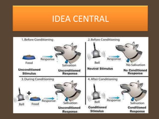 IDEA CENTRAL
 