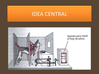 IDEA CENTRAL
 