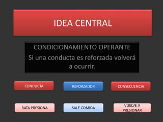 IDEA CENTRAL

     CONDICIONAMIENTO OPERANTE
   Si una conducta es reforzada volverá
                a ocurrir.

 CONDUCTA          REFORZADOR    CONSECUENCIA



                                    VUELVE A
RATA PRESIONA      SALE COMIDA
                                   PRESIONAR
 