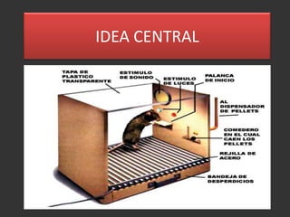 IDEA CENTRAL
 