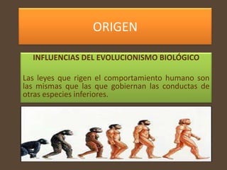 ORIGEN

  INFLUENCIAS DEL EVOLUCIONISMO BIOLÓGICO

Las leyes que rigen el comportamiento humano son
las mismas que las que gobiernan las conductas de
otras especies inferiores.
 