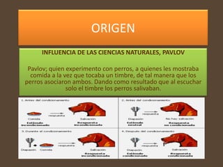 ORIGEN
     INFLUENCIA DE LAS CIENCIAS NATURALES, PAVLOV

 Pavlov; quien experimento con perros, a quienes les mostraba
  comida a la vez que tocaba un timbre, de tal manera que los
perros asociaron ambos. Dando como resultado que al escuchar
               solo el timbre los perros salivaban.
 