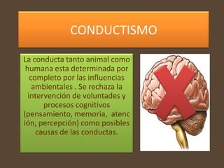 CONDUCTISMO

La conducta tanto animal como
 humana esta determinada por
   completo por las influencias
    ambientales . Se rechaza la
  intervención de voluntades y
       procesos cognitivos
(pensamiento, memoria, atenc
ión, percepción) como posibles
     causas de las conductas.
 