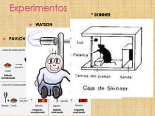  PAVLOV
 WATSON
* SKINNER
 