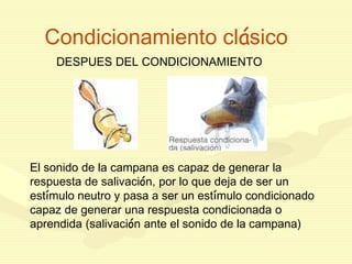 Condicionamiento clásico
DESPUES DEL CONDICIONAMIENTO
El sonido de la campana es capaz de generar la
respuesta de salivación, por lo que deja de ser un
estímulo neutro y pasa a ser un estímulo condicionado
capaz de generar una respuesta condicionada o
aprendida (salivación ante el sonido de la campana)
 