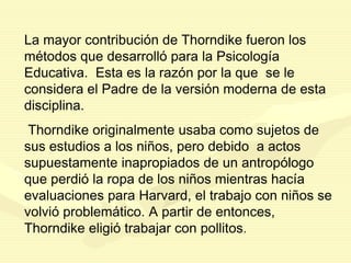 La mayor contribución de Thorndike fueron los
métodos que desarrolló para la Psicología
Educativa. Esta es la razón por la que se le
considera el Padre de la versión moderna de esta
disciplina.
Thorndike originalmente usaba como sujetos de
sus estudios a los niños, pero debido a actos
supuestamente inapropiados de un antropólogo
que perdió la ropa de los niños mientras hacía
evaluaciones para Harvard, el trabajo con niños se
volvió problemático. A partir de entonces,
Thorndike eligió trabajar con pollitos.
 