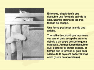 Entonces, el gato tenía que
descubrir una forma de salir de la
caja, usando alguna de las tres
formas de escape.
Una forma podía ser jalando una
aldaba.
Thorndike descubrió que la primera
vez que el gato escapaba era mas
debido a un golpe de suerte que a
otra cosa. Aunque luego descubrió
que, posterior al primer escape, el
tiempo que le tomaba al gato para
salirse de la caja era cada vez mas
corto (curva de aprendizaje).
 