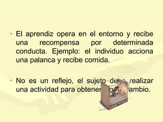 • El aprendiz opera en el entorno y recibe
una recompensa por determinada
conducta. Ejemplo: el individuo acciona
una palanca y recibe comida.
• No es un reflejo, el sujeto debe realizar
una actividad para obtener algo a cambio.
 