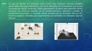 La caja de Skinner fue sirviendo como medio para introducir diversas variables
(entre ellas, descargas eléctricas) y ver cómo afectaban en la frecuencia con la que
se producían ciertas conductas. Estos experimentos sirvieron para describir ciertos
patrones de conducta basados en el condicionamiento operante y probar la
posibilidad de predecir y controlar ciertas acciones de los animales. Hoy en día,
muchos espacios utilizados para experimentar con animales son llamados cajas de
Skinner.
AGM
 