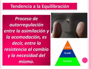 Tendencia a la Equilibración

      Proceso de
   autorregulación
entre la asimilación y
 la acomodación, es
     decir, entre la
resistencia al cambio
  y la necesidad del
        mismo.
 